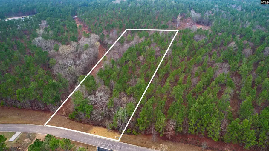 Lot 5 Retreat Way, Ridgeway, SC 29130 - #3