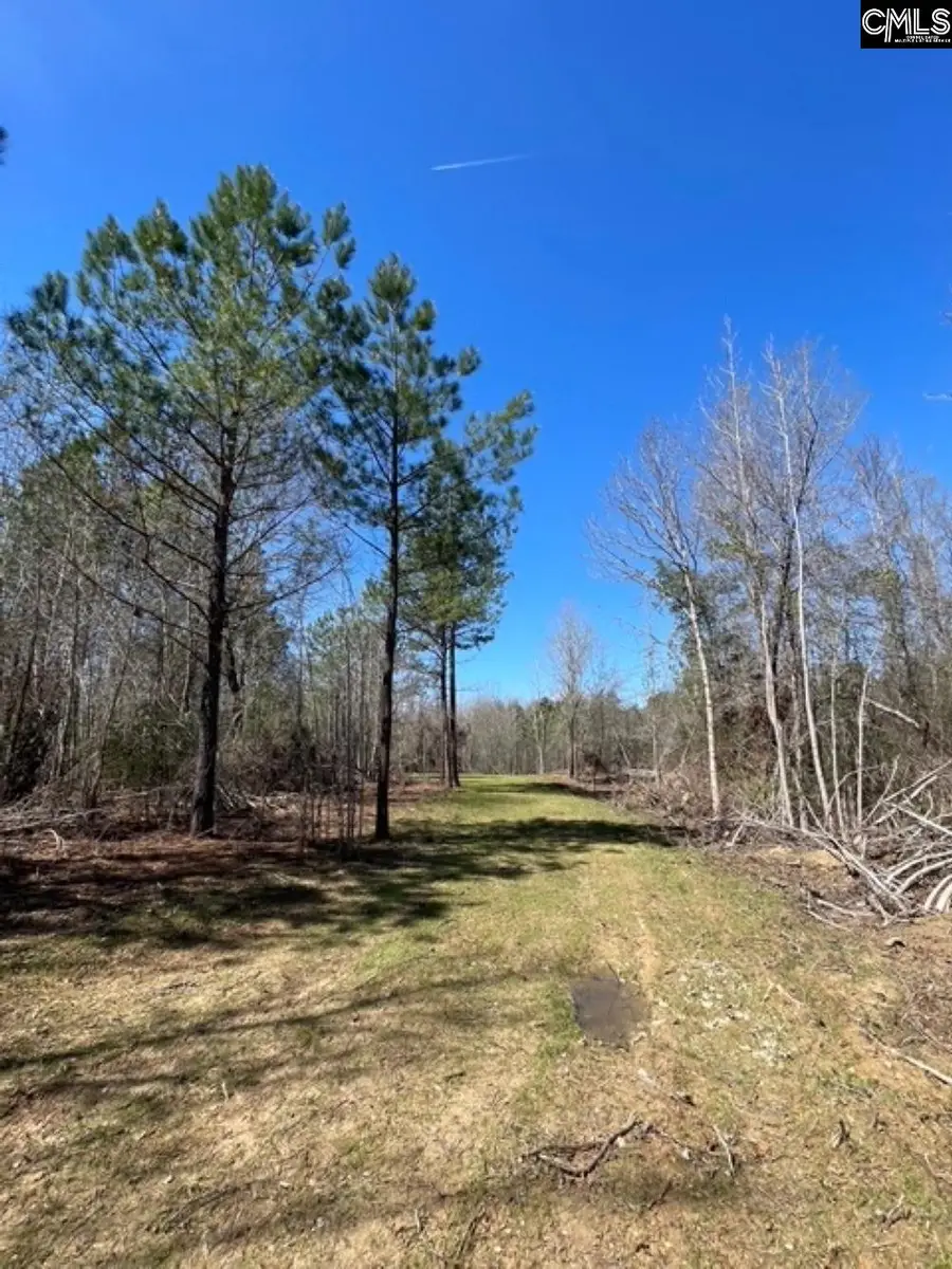 1214 Shady Lane, Camden, SC 29020 - #2