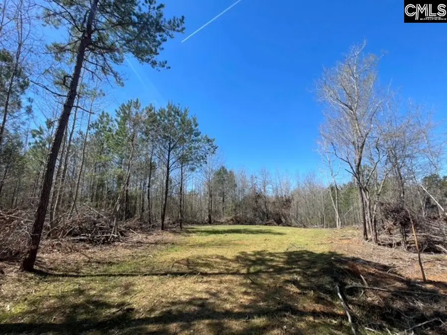 1214 Shady Lane, Camden, SC 29020 - #3