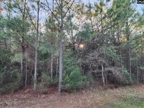 0 Wright-sims Road, Union, SC 29379