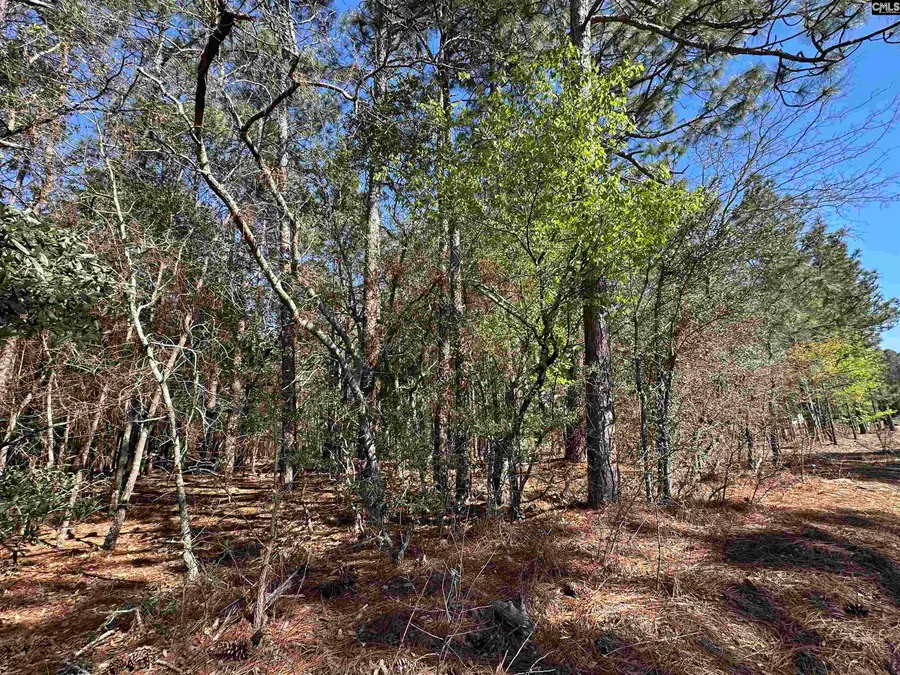 Lot 2 Mimosa Drive, Gaston, SC 29053 - #2