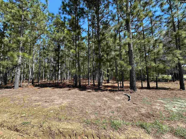 223 Mimosa Drive, Gaston, SC 29053