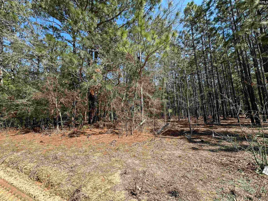 223 Mimosa Drive, Gaston, SC 29053 - #3