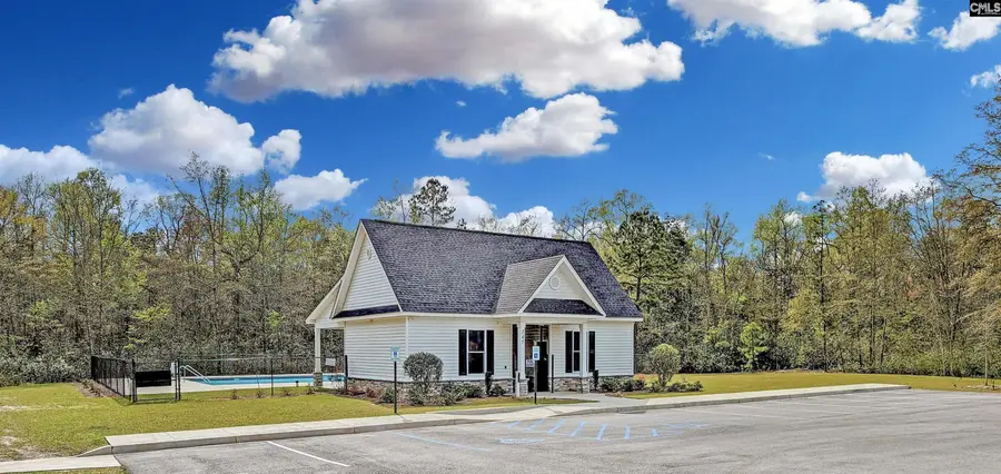 251 Meadow Saffron Drive, Lexington, SC 29073 - #3