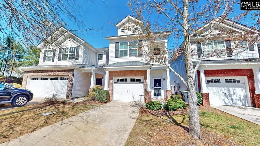 110 Saluda Springs Court, Lexington, SC 29072 - #3