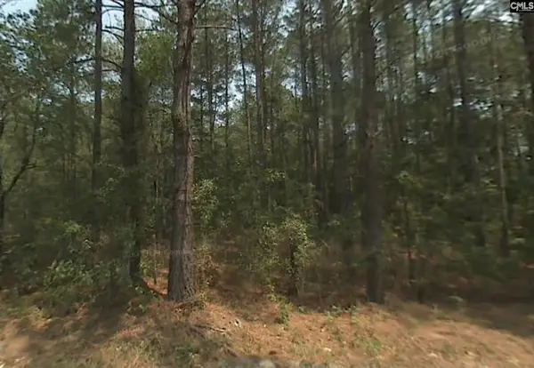 W/S Zacks Playhouse Road, Columbia, SC 29449