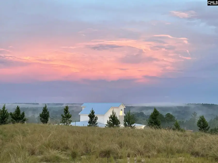 3914 Golden Crane Pass, Lexington, SC 29073 - #3