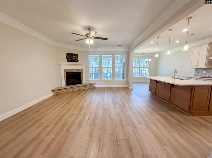 360 Autumn Pond Drive, Blythewood, SC 29016 - #3