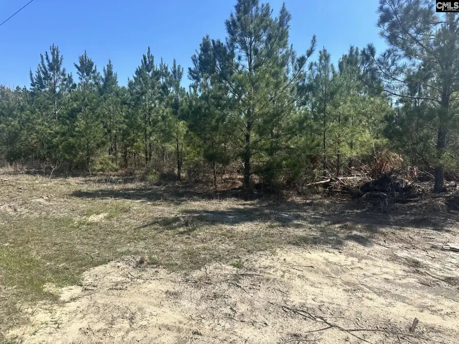 0 Catalina Boulevard, Swansea, SC 29160 - #3