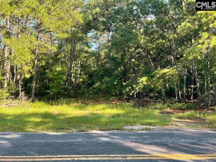 681 New Hope Road, Orangeburg, SC 29118 - #3