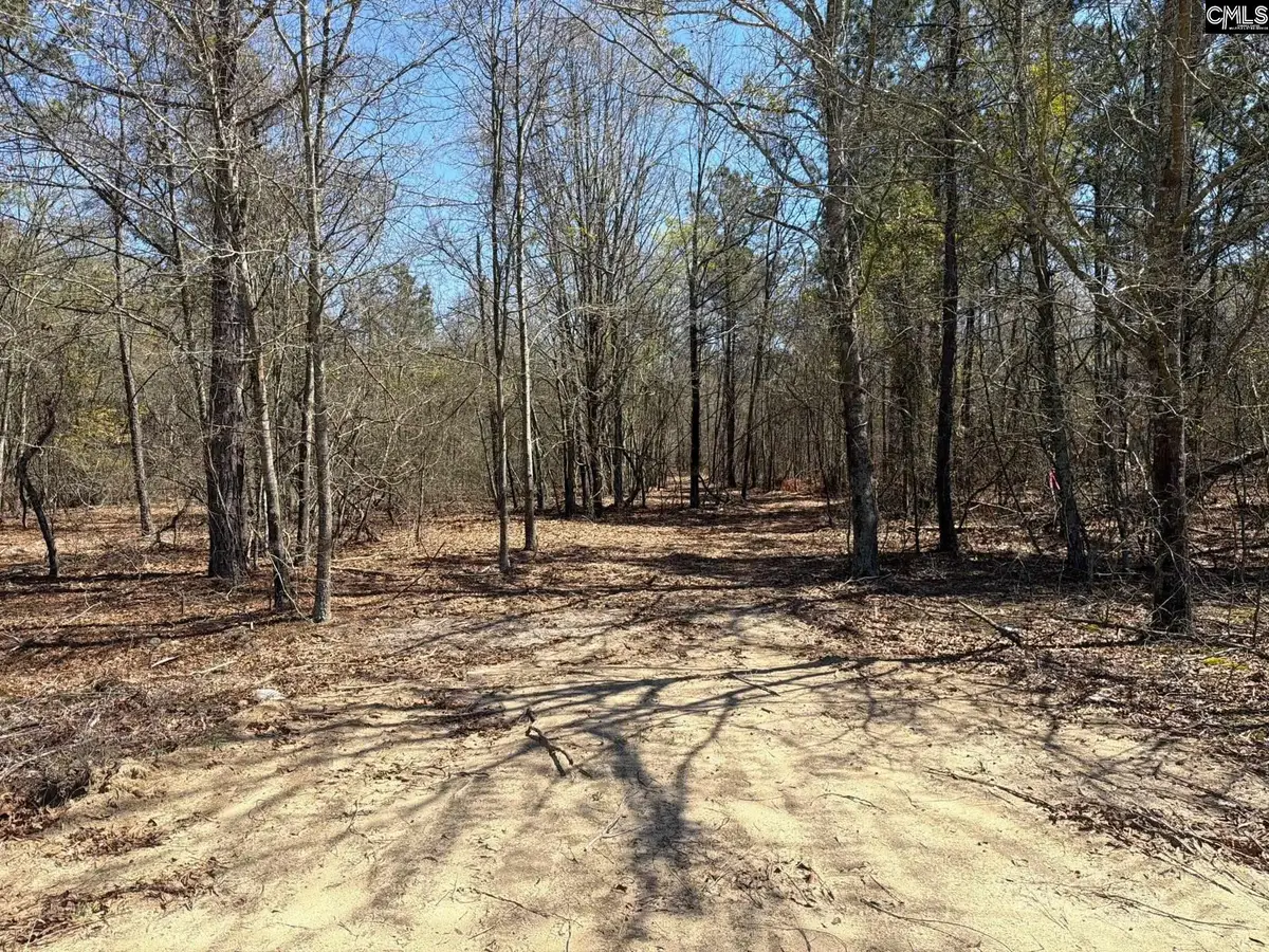 BHL 10 Boise Cascade Road #BHL 10, Bethune, SC 29009 - #1