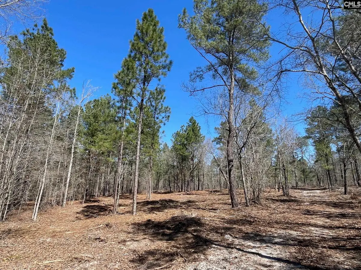 1870 Henry Davis Road, Cassatt, SC 29032 - #1