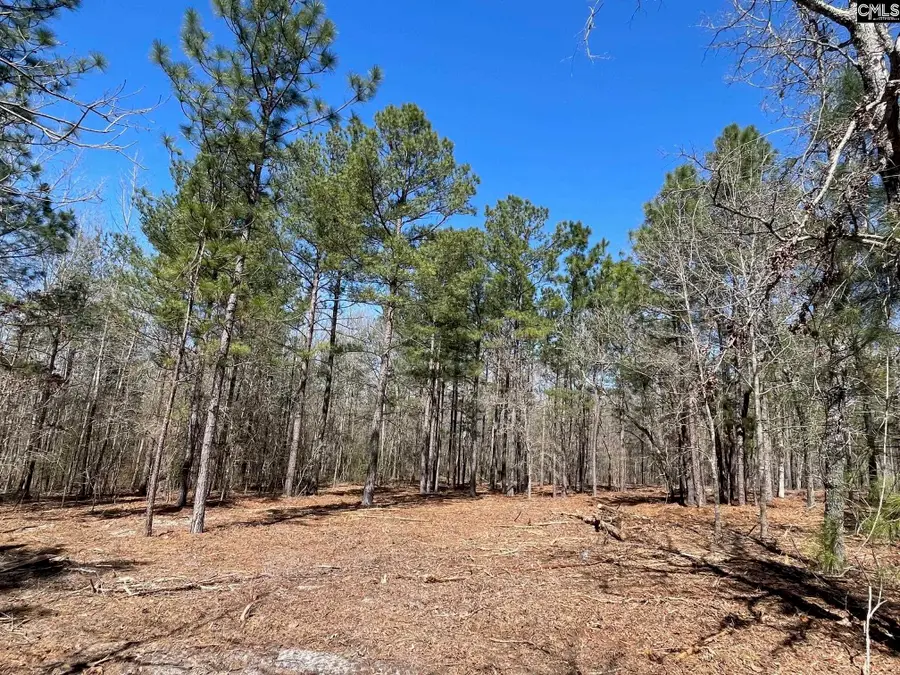 1870 Henry Davis Road, Cassatt, SC 29032 - #2