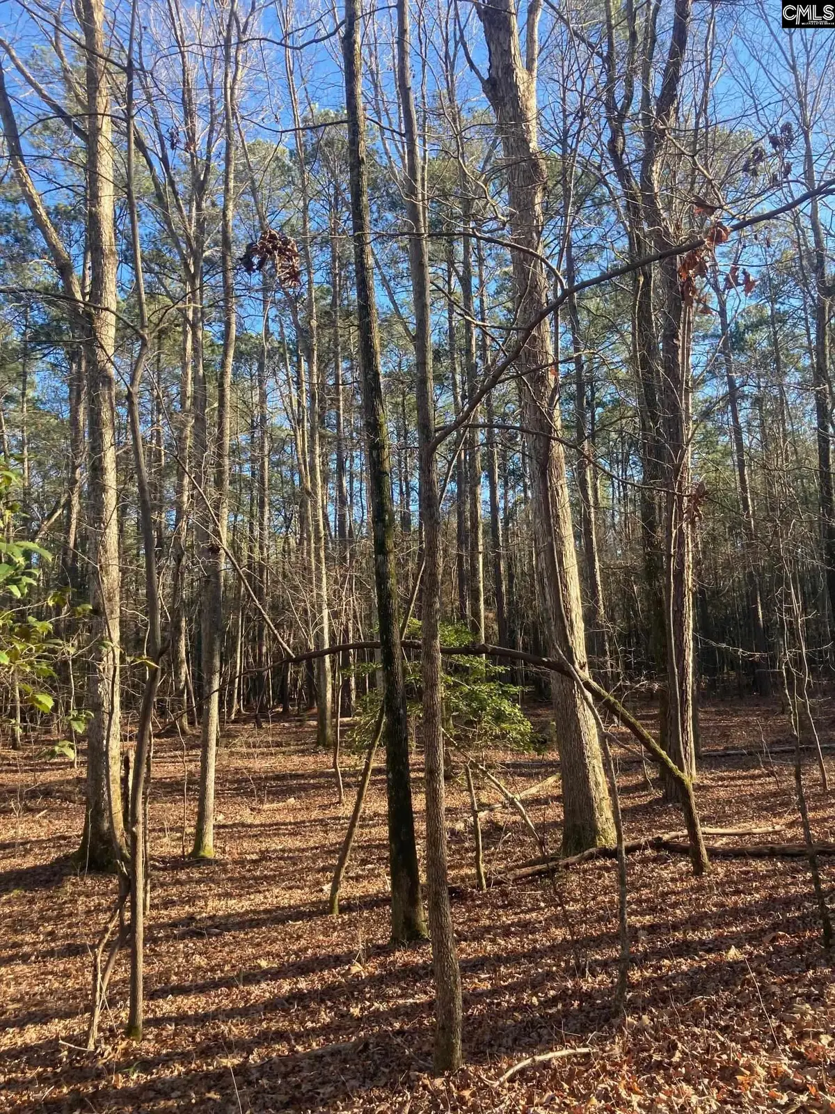 0 Church, Prosperity, SC 29127 - #1