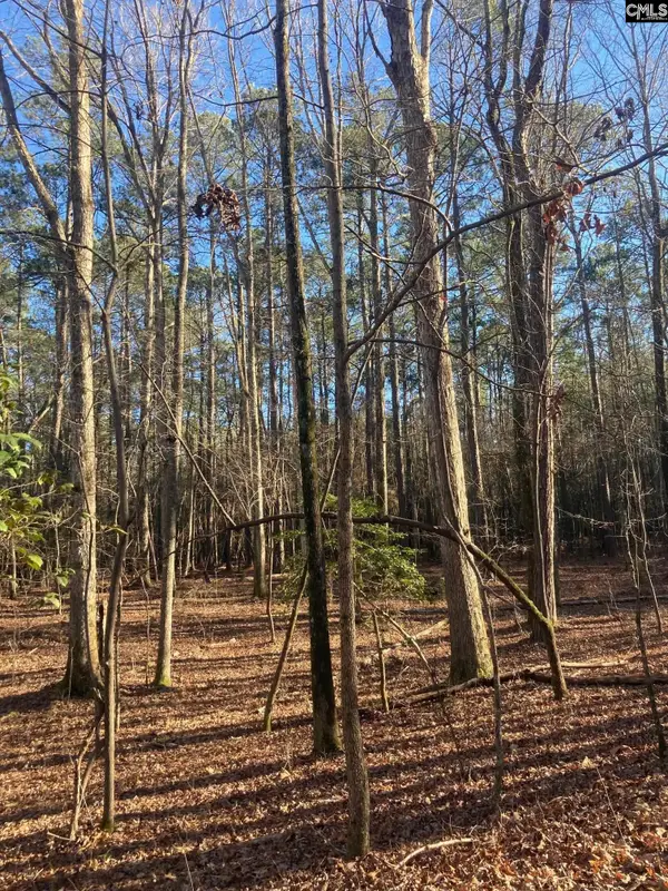 0 Church, Prosperity, SC 29127