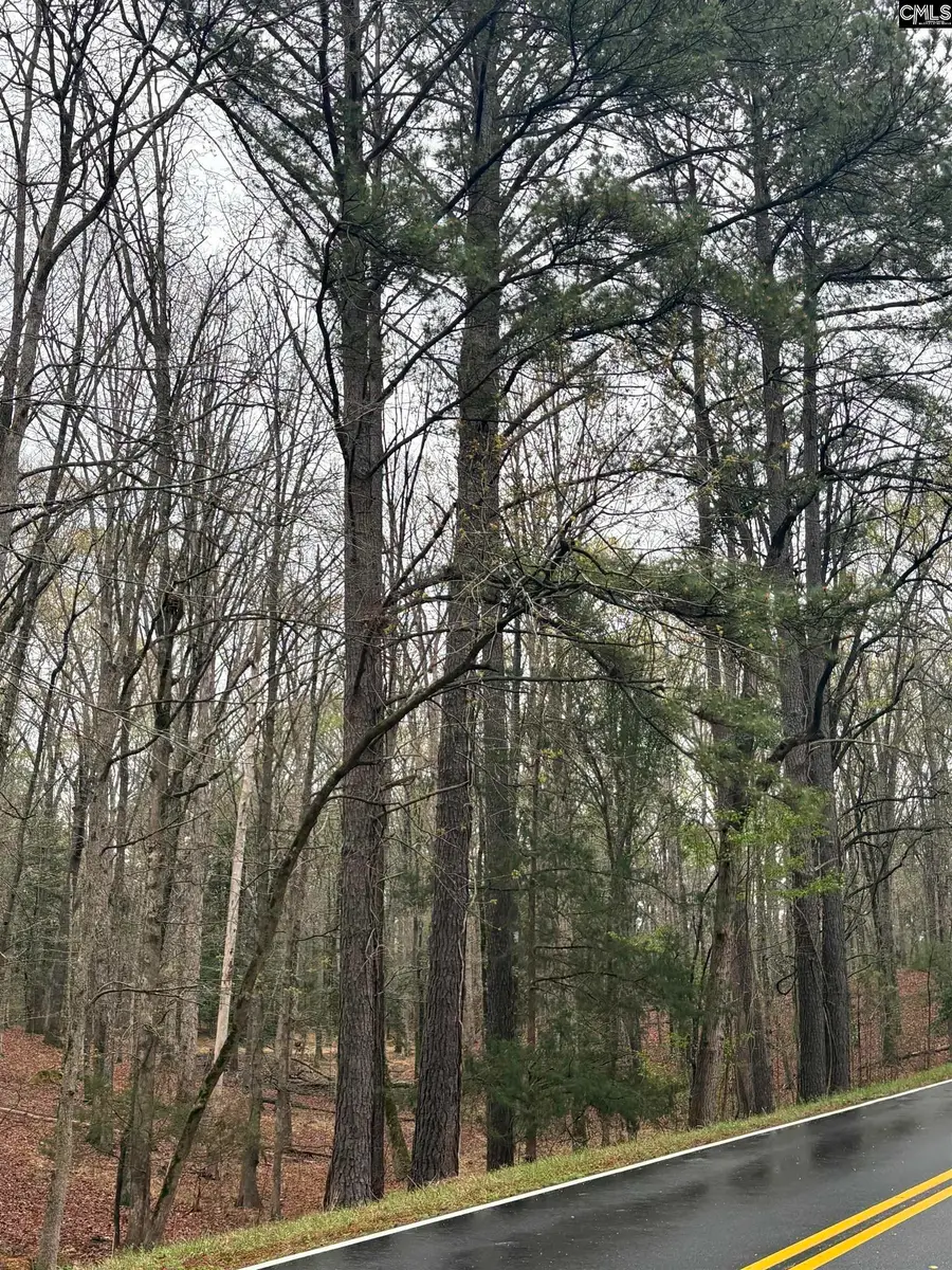 1394 Lake Road, Ridgeway, SC 29130 - #2