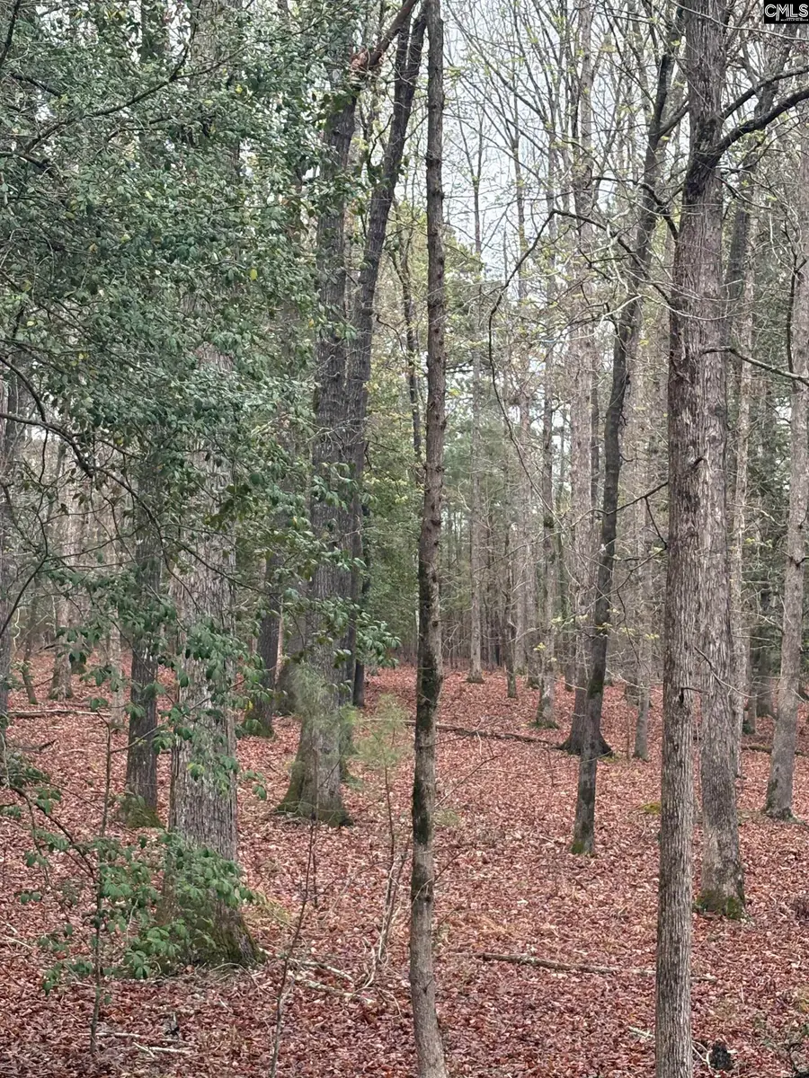 1394 Lake Road, Ridgeway, SC 29130 - #3