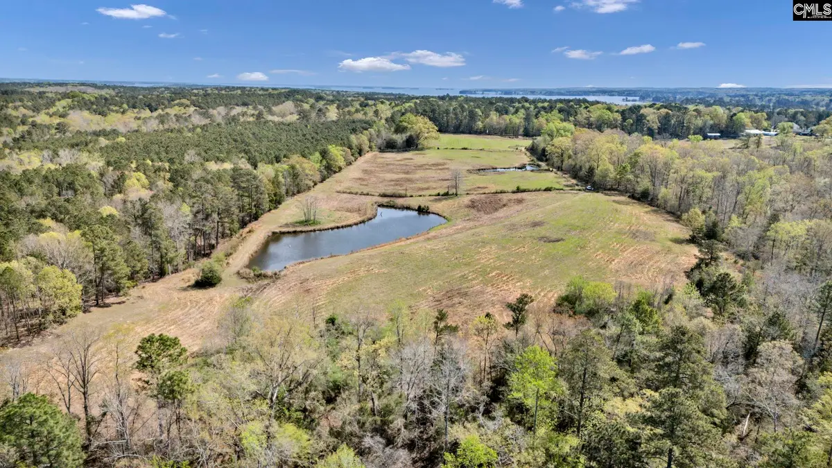 421 & 0 Shore Road, Gilbert, SC 29054 - #1