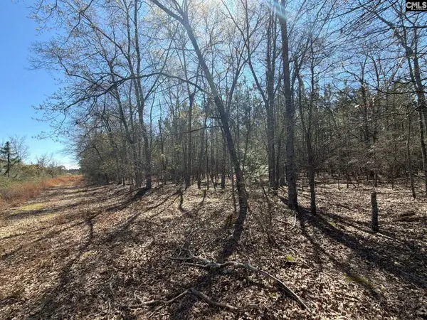 BHL 12 Boise Cascade Road #BHL 12, Bethune, SC 29009