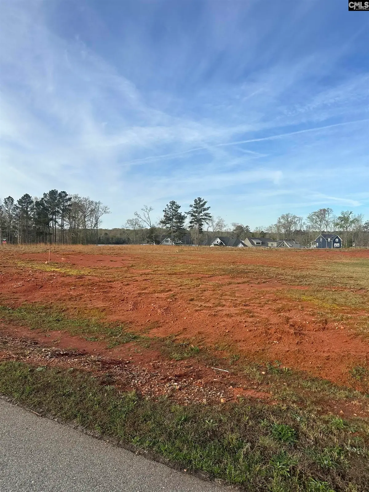 Clouds Creek Circle, Batesburg Leesville, SC 29138 - #1