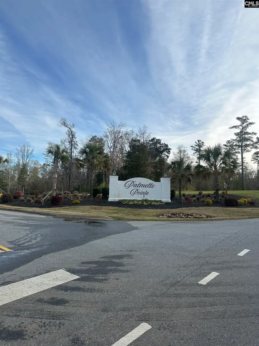 Clouds Creek Circle, Batesburg Leesville, SC 29138 - #3