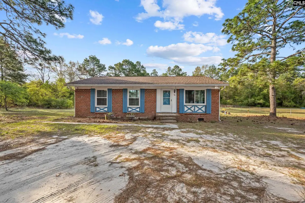 55 Crystal Springs Drive, Lexington, SC 29073 - #1