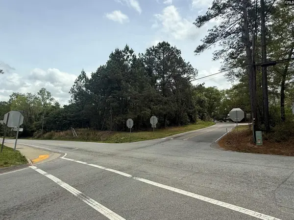 121 Roberts Street, Lexington, SC 29072