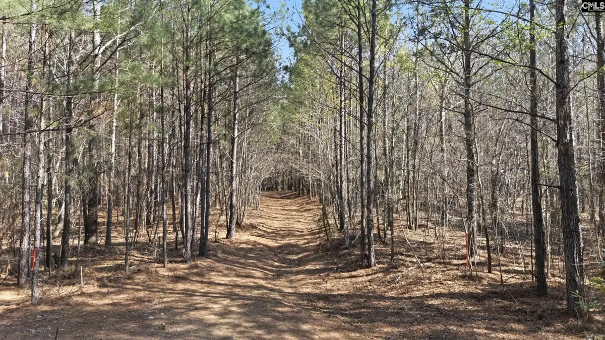 0 S S Heyward Brockington, Columbia, SC 29203 - #1