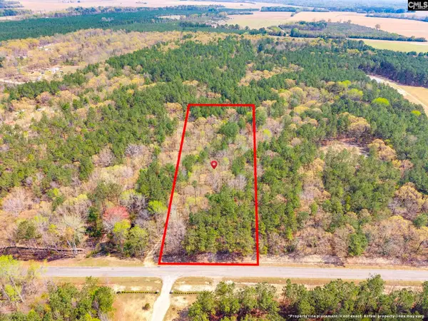 Springvale Drive, Bishopville, SC 29010