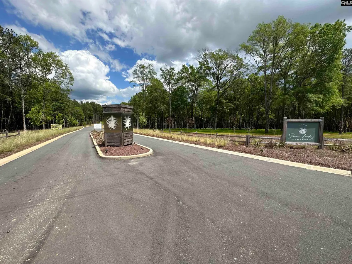 66 Stewart Landing Drive, Prosperity, SC 29127 - #1