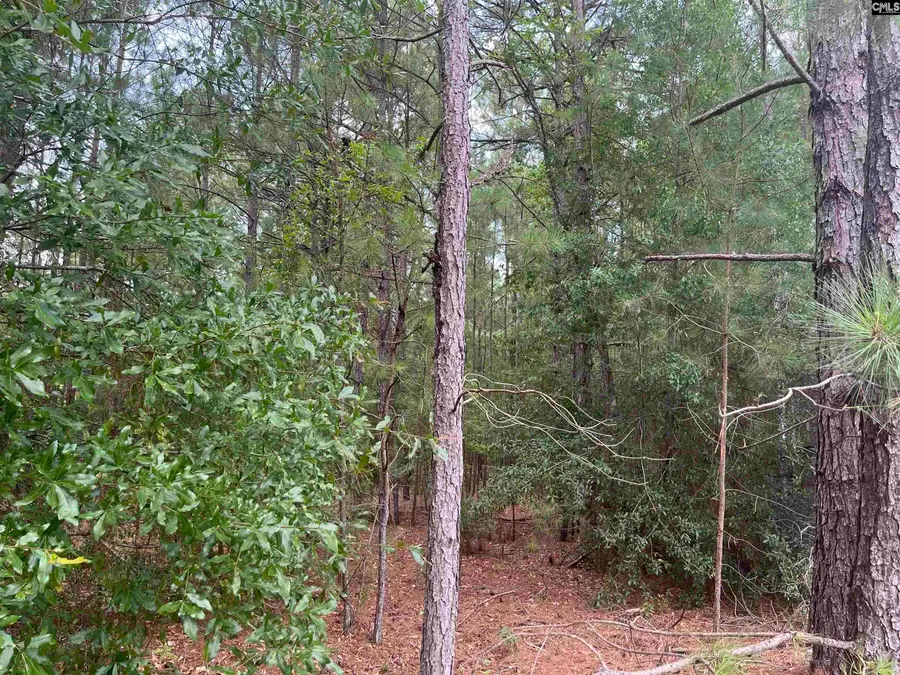 TBD Festival Trail Road, Salley, SC 29137 - #3