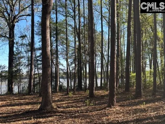 000 Fannie Black, Prosperity, SC 29127 - #1