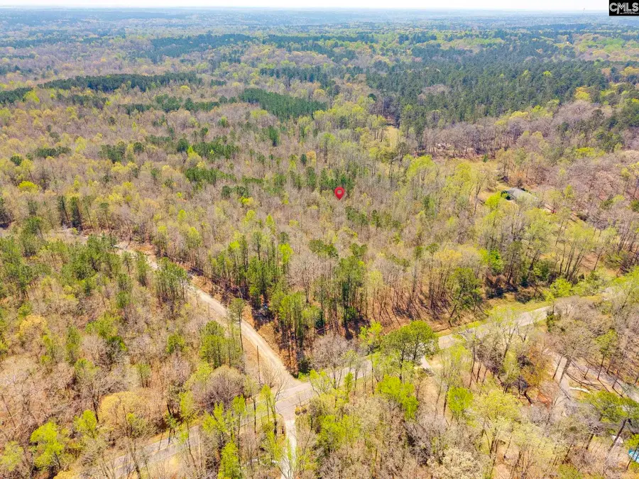 1249 Nick Watts Road, Lugoff, SC 29078 - #3