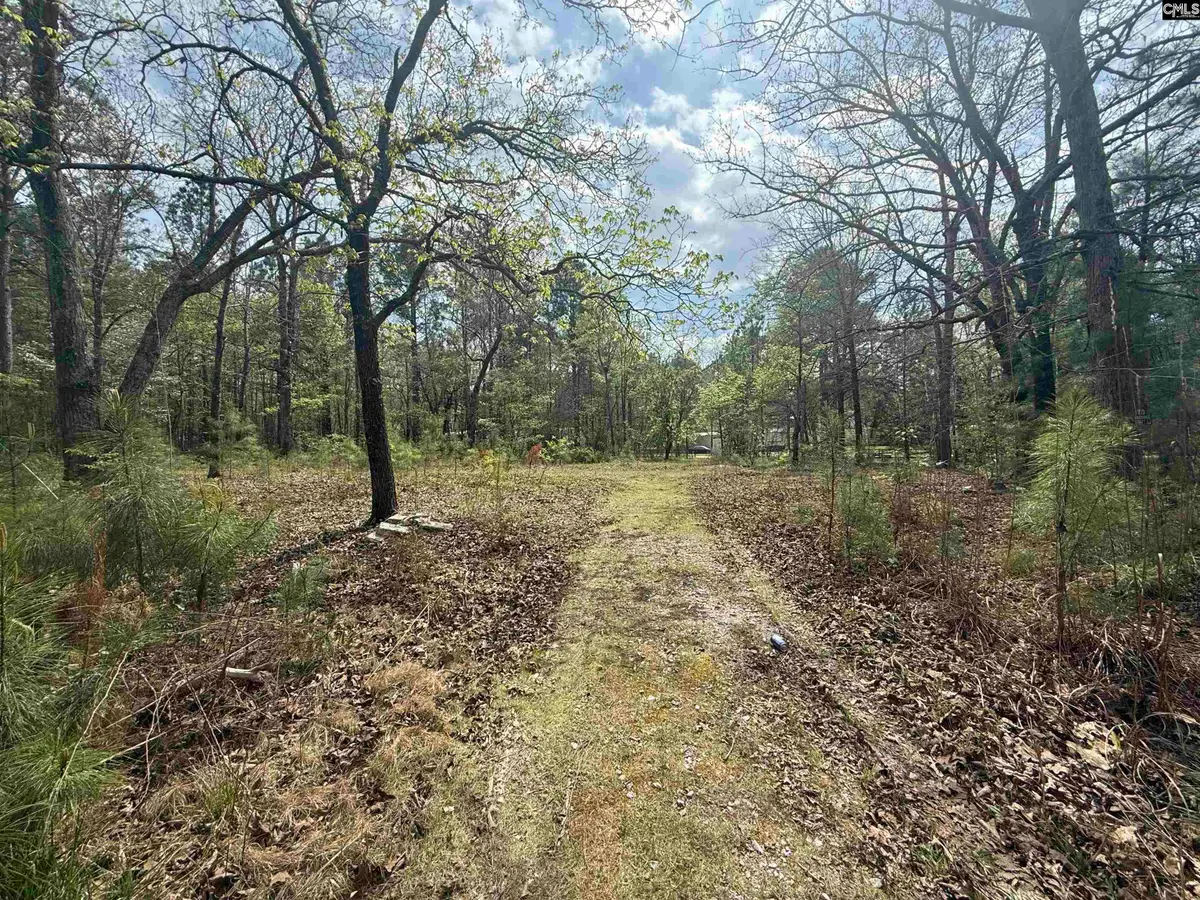 129 Treemount Lane, Gaston, SC 29053 - #1