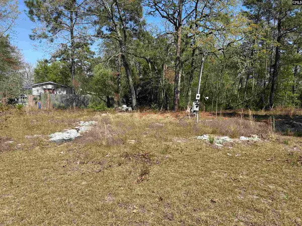 149 Hass Lucas Road, Gaston, SC 29053