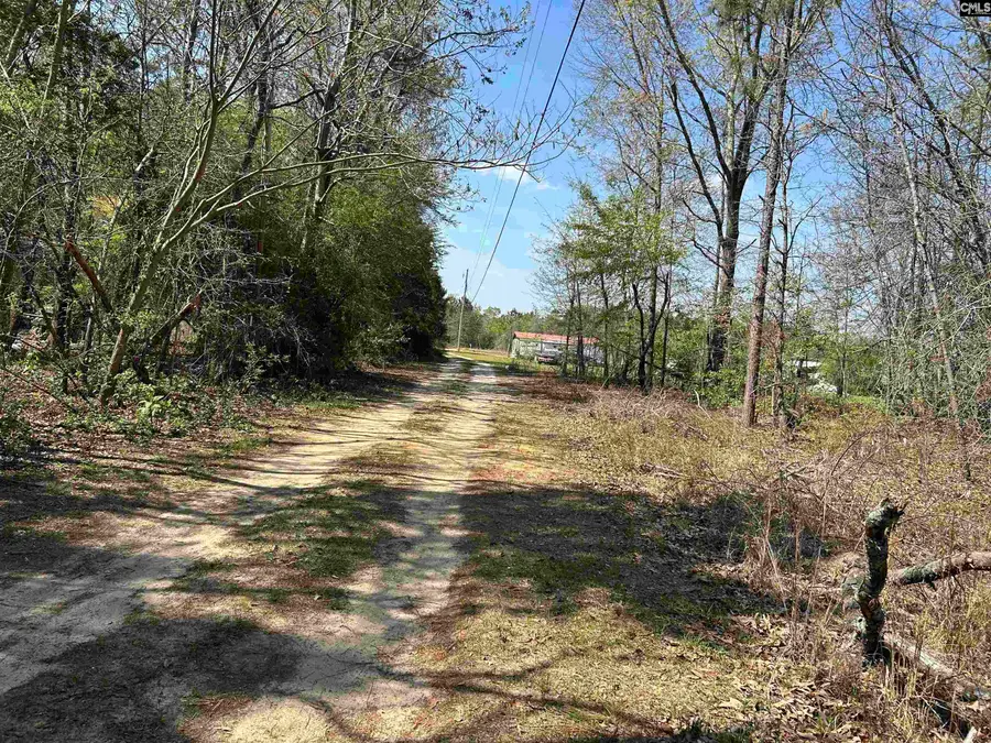 149 Hass Lucas Road, Gaston, SC 29053 - #2