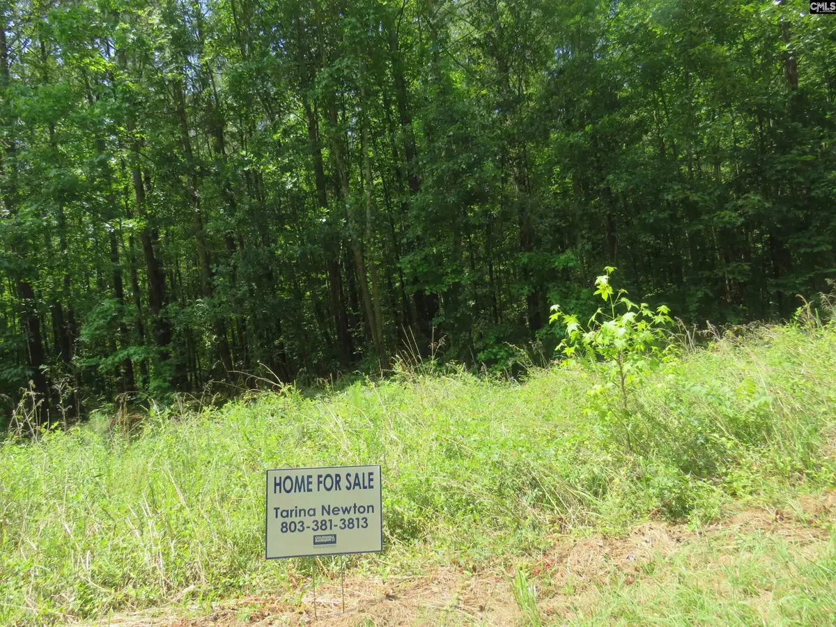 S/s Old Eastover Road, Eastover, SC 29044 - #1