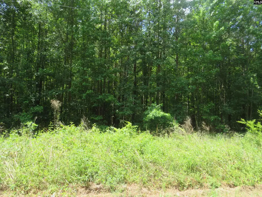 S/s Old Eastover Road, Eastover, SC 29044 - #3