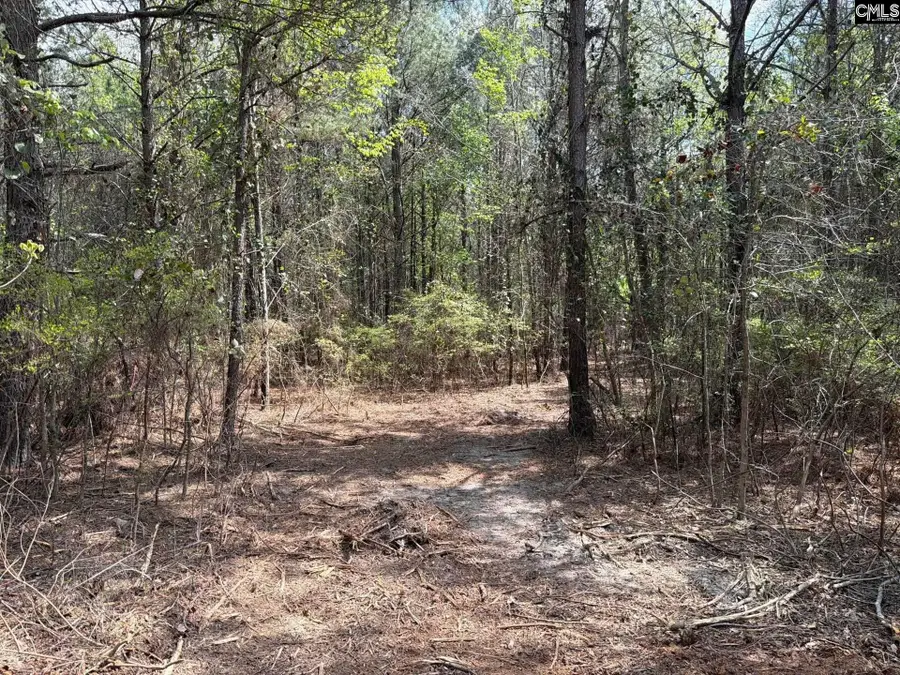 CVA 1 Mt. Calvary Road #CVA 1, Ridge Spring, SC 29129 - #3