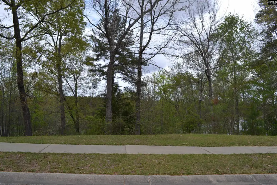 35 Shoreline Drive, Columbia, SC 29229 - #3