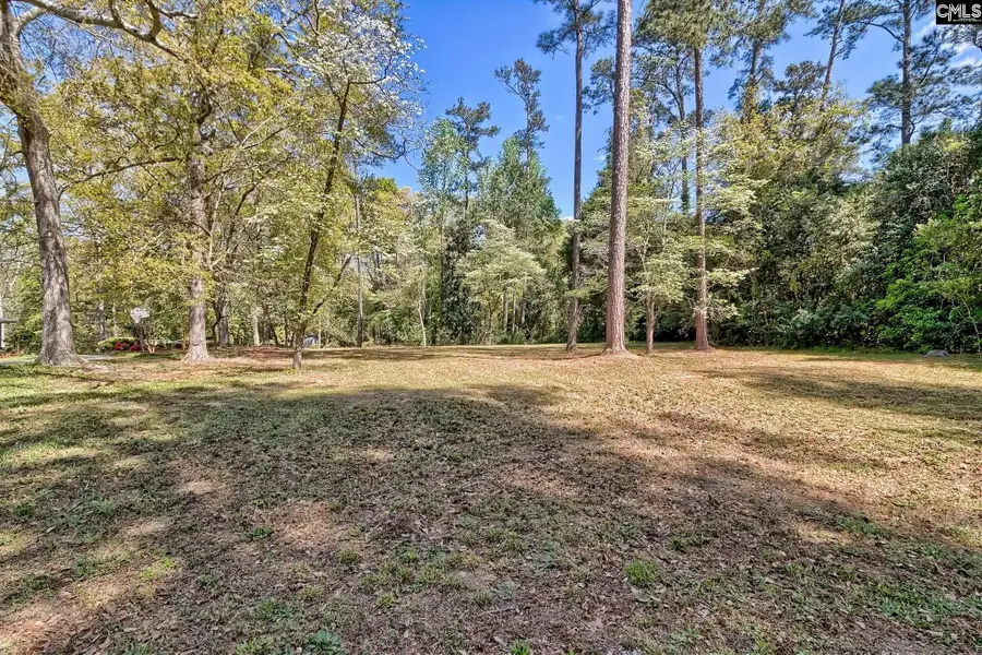 106 Middlebrook Drive, Lexington, SC 29072 - #2