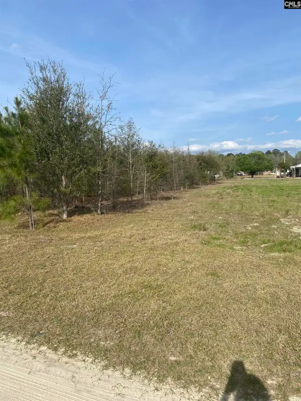 0 Sea Ray Lane, Marion, SC 29571