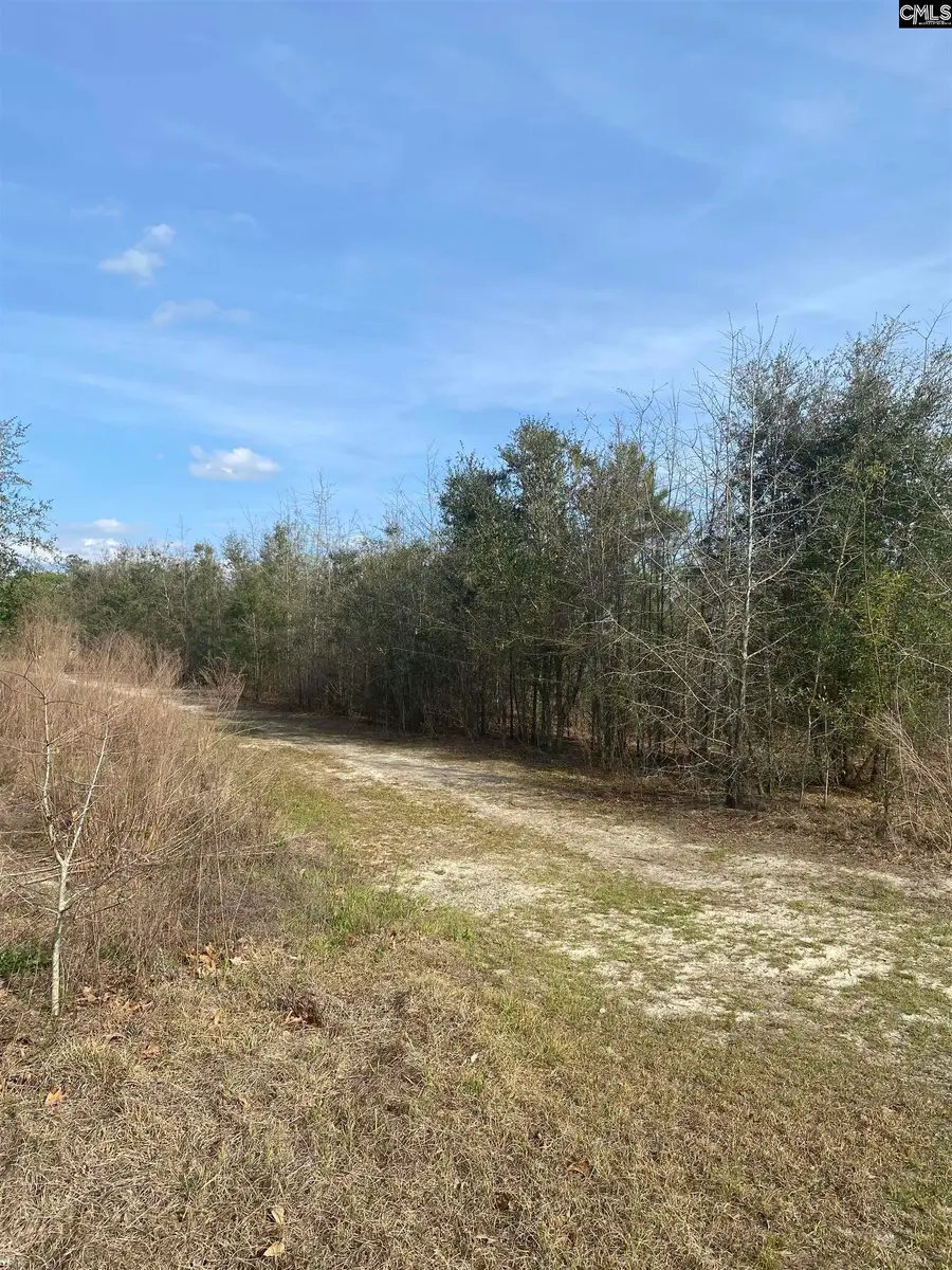 0 Sea Ray Lane, Marion, SC 29571 - #2