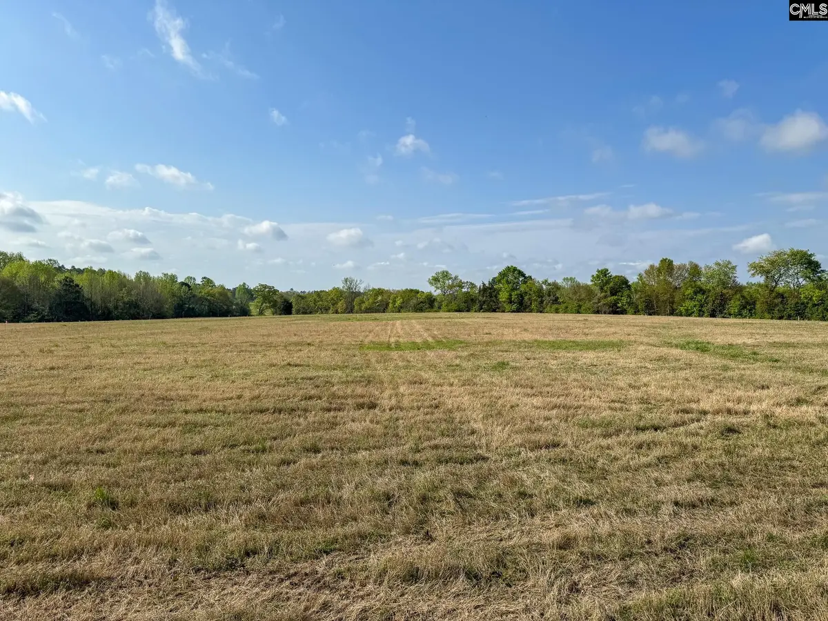0 Shealy Road #Lot 3, Batesburg, SC 29006 - #1