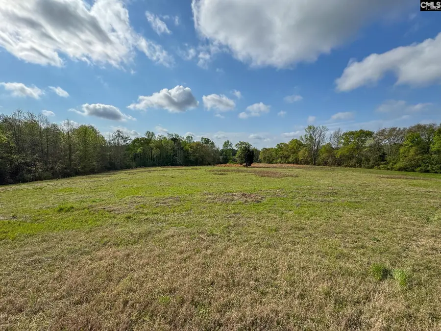 0 Shealy Road #Lot 7, Batesburg, SC 29006 - #2