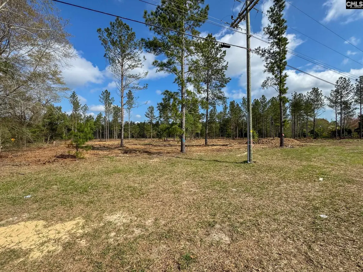 0 Perry Taylor Road #3.96 AC, Leesville, SC 29070 - #1