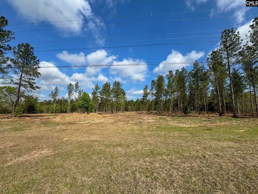 0 Perry Taylor Road #3.96 AC, Leesville, SC 29070 - #2