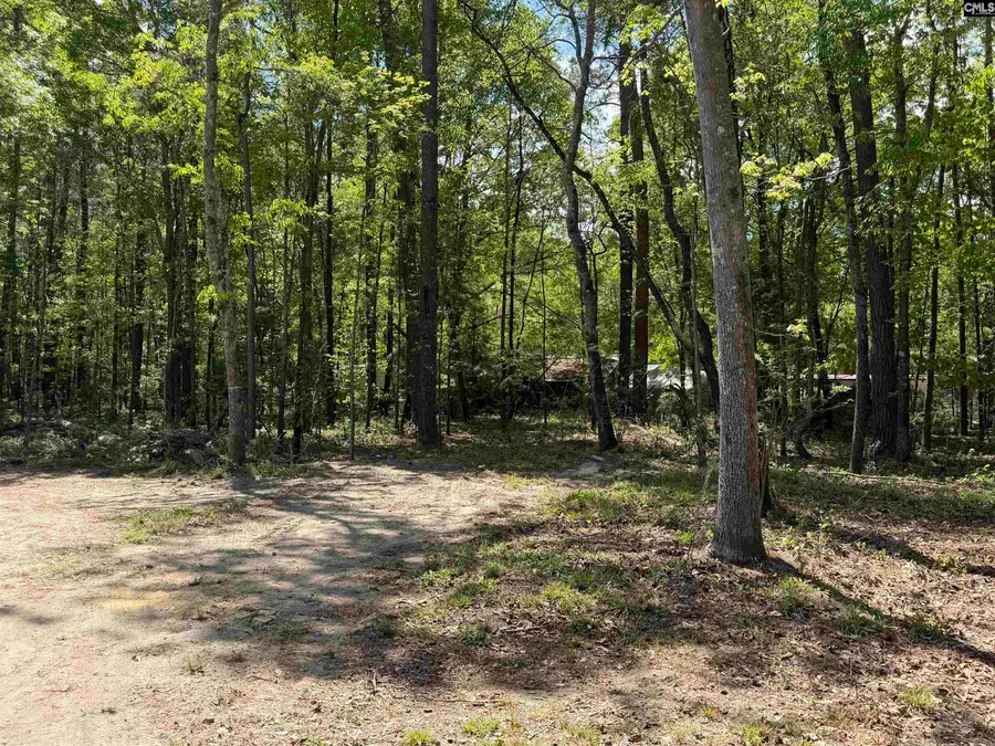 115 Ash Hill Drive, Eutawville, SC 29048 - #2