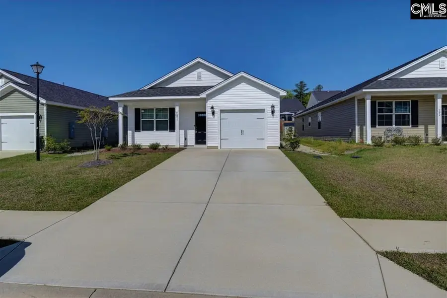 291 Savannah Wood Drive, Hopkins, SC 29061 - #3