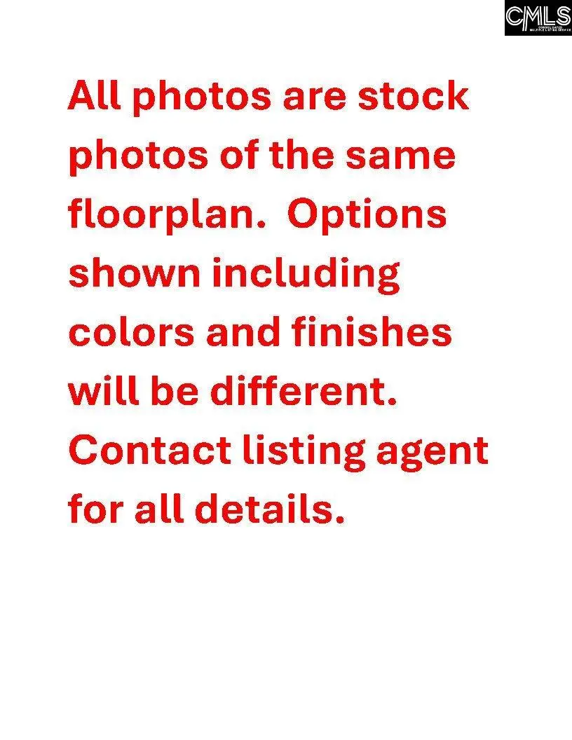 410 Rising Stream Way, Chapin, SC 29036 - #2